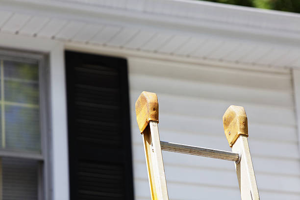 Best Brick Veneer Siding  in Laurium, MI